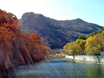 澳门二四六天天彩图库，史上最强家族